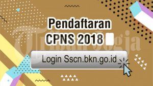 Info pendaftaran CPNS 2018 di sscn.bkn.go.id